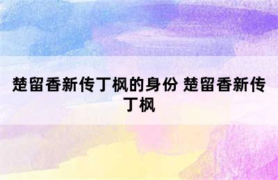 楚留香新传丁枫的身份 楚留香新传丁枫